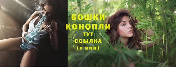 PSILOCYBIN Костерёво