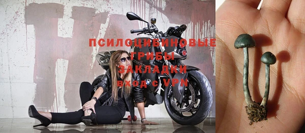 дживик Алзамай