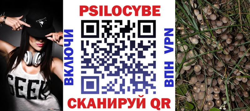 Псилоцибиновые грибы MAGIC MUSHROOMS  Клин 